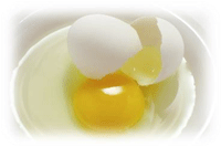 卵の写真