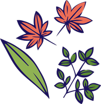 紅葉とさかきと笹の葉のイラスト