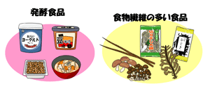 発酵食品と食物繊維の多い食品のイラスト