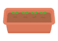 大高菜を育ててい
るプランターのイラスト