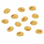 大豆のイラスト
