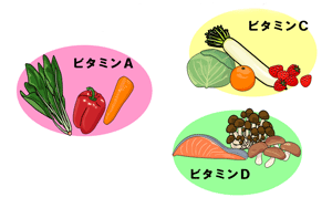 ビタミンを多く含む食材のイラスト